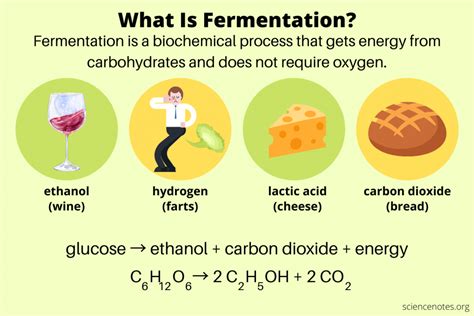 what is fermentation in chemistry.